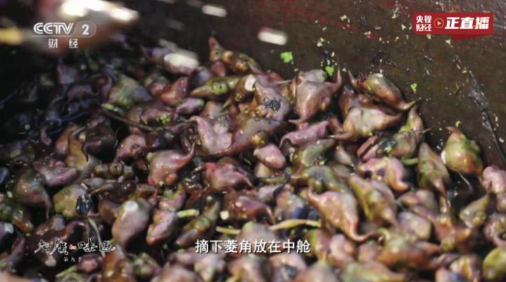 东东影院tv版下载_https://www.excelwordppt.com_影音播放_第4张